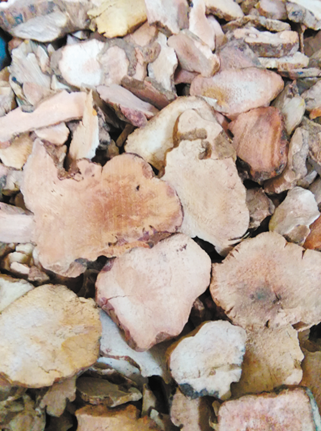 土茯苓赤小豆老鸭汤