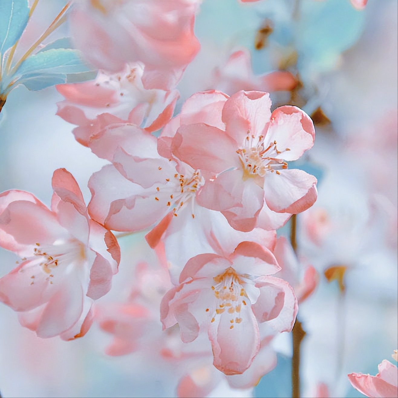 20首最美相思诗词，首首经典，每一首都有一个千古名句