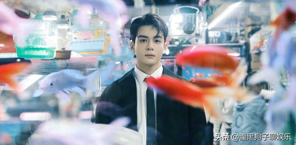 段奥娟工作室辟谣（因曾舜晞解约，尚雯婕公司被执行872万！艺人和公司分手实在太难）