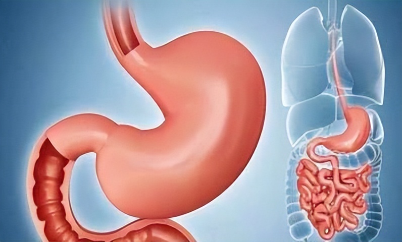 胃病是拖出来的？医生提醒：若出现“3多、2痛”，最好查下胃镜