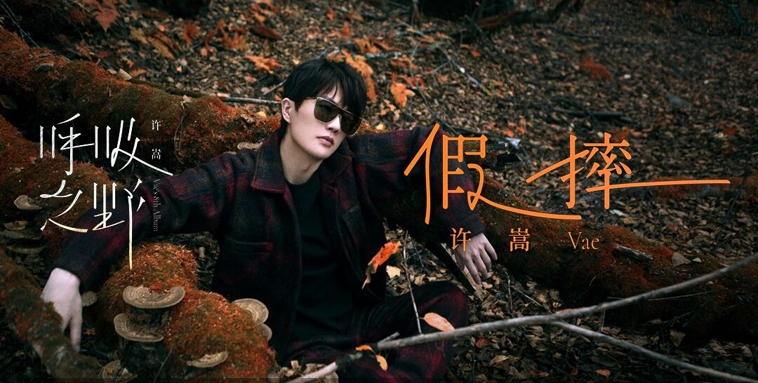 假摔許嵩歌詞（許嵩：《假摔》獨鳴孤掌，一聲悶響）