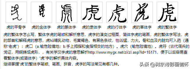 虎入羊群指的是什么生肖?