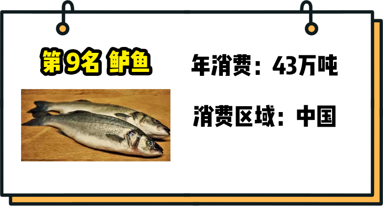 大西洋鳕鱼图片（盘点10个被吃得最多的鱼）