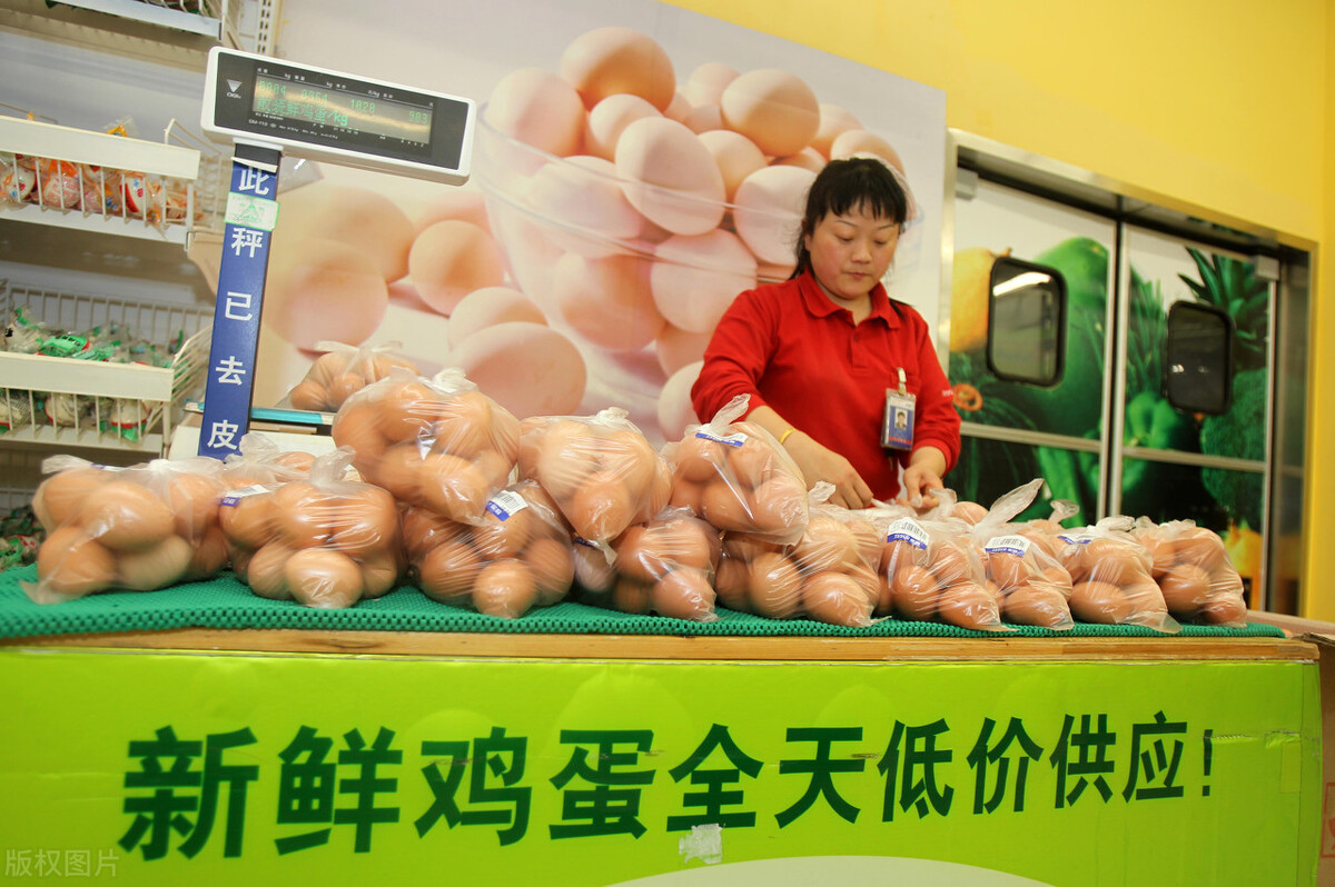 去买鸡蛋，挑红壳的还是白壳的好？今天才知道，原来以前都买错了