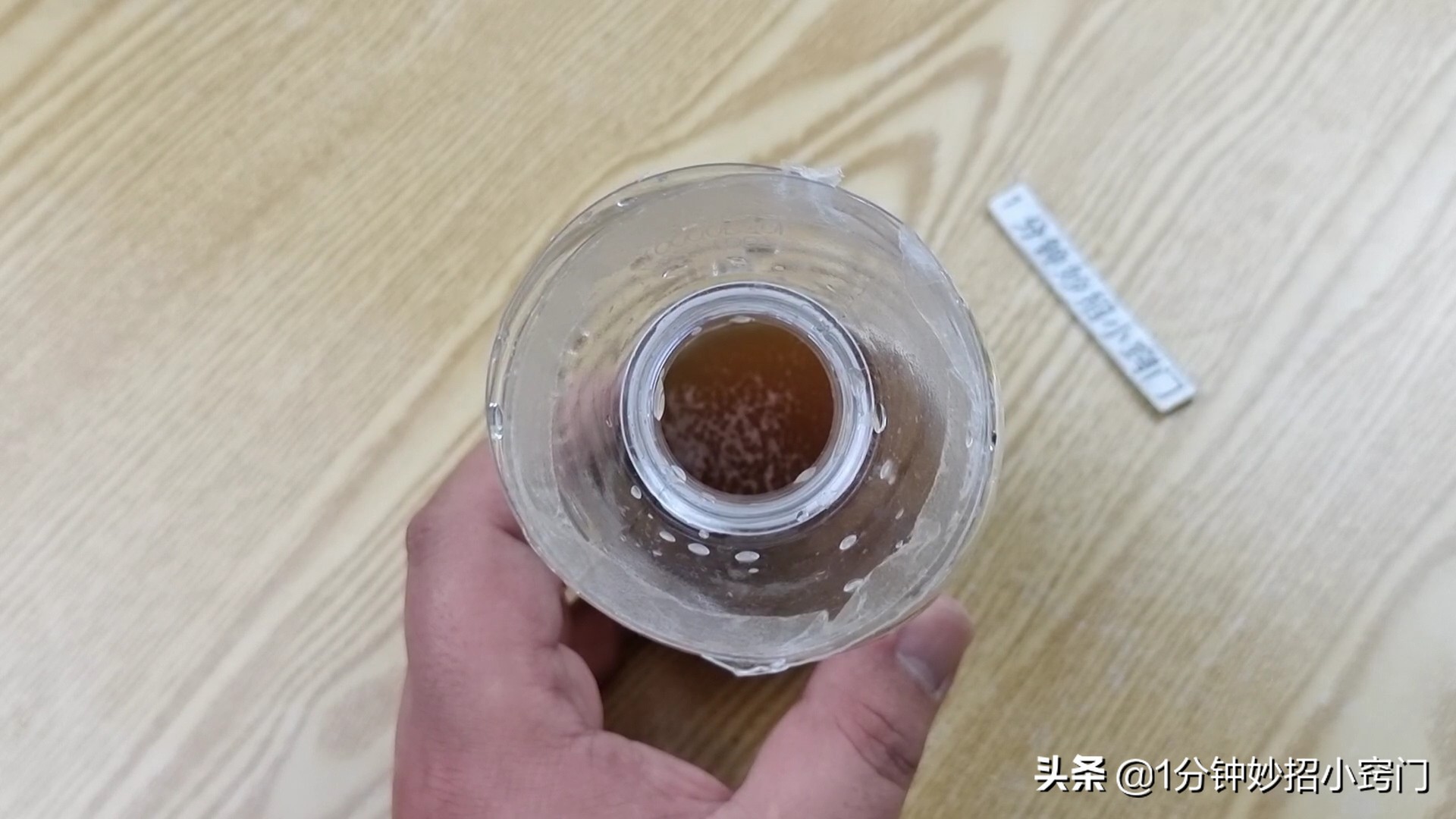 下面家里苍蝇多怎么办 教你自制消灭苍蝇小工具