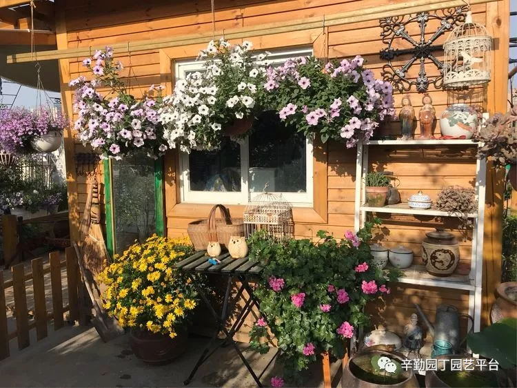 园丁奖花园组《002号》不离不弃,芳龄永继