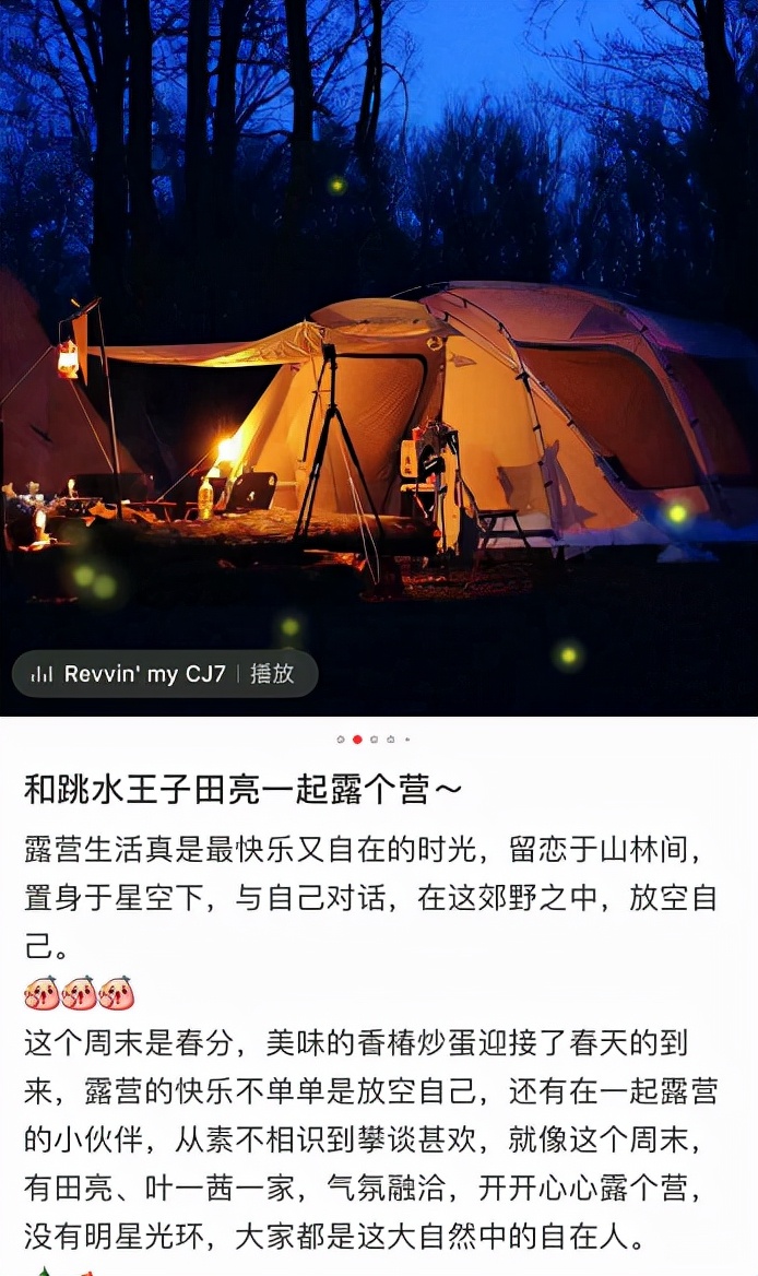 田亮夫妇带儿女露营，森碟和弟弟劈柴生火，干起活来一点不矫情​