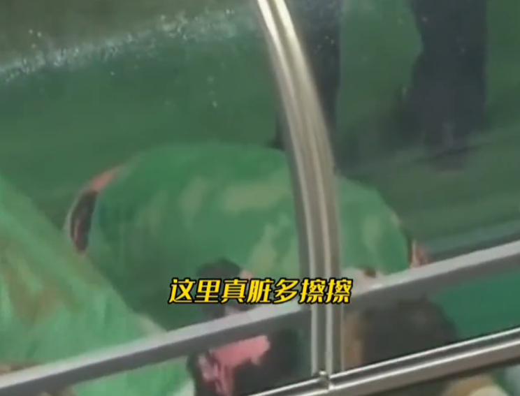 2002世界杯黑哨事件后續（黑哨毀掉葡萄牙黃金一代，如今被教練復仇，韓國教練竟是“臥底”）