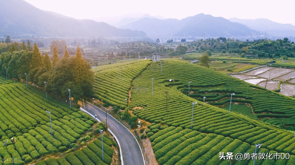 中丰农业——企业名称有内涵寓意好，丰收、丰盛