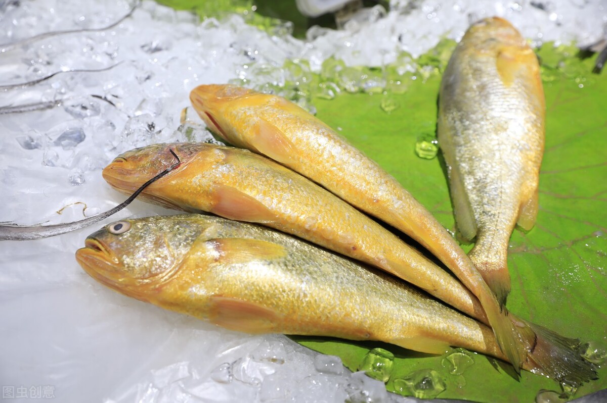 食品烘干设备海产品烘干机烘干黄花鱼工艺