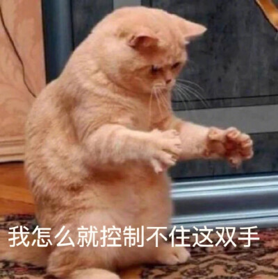 国产机械键盘十大名牌深度评测：一年十把键盘实测总结