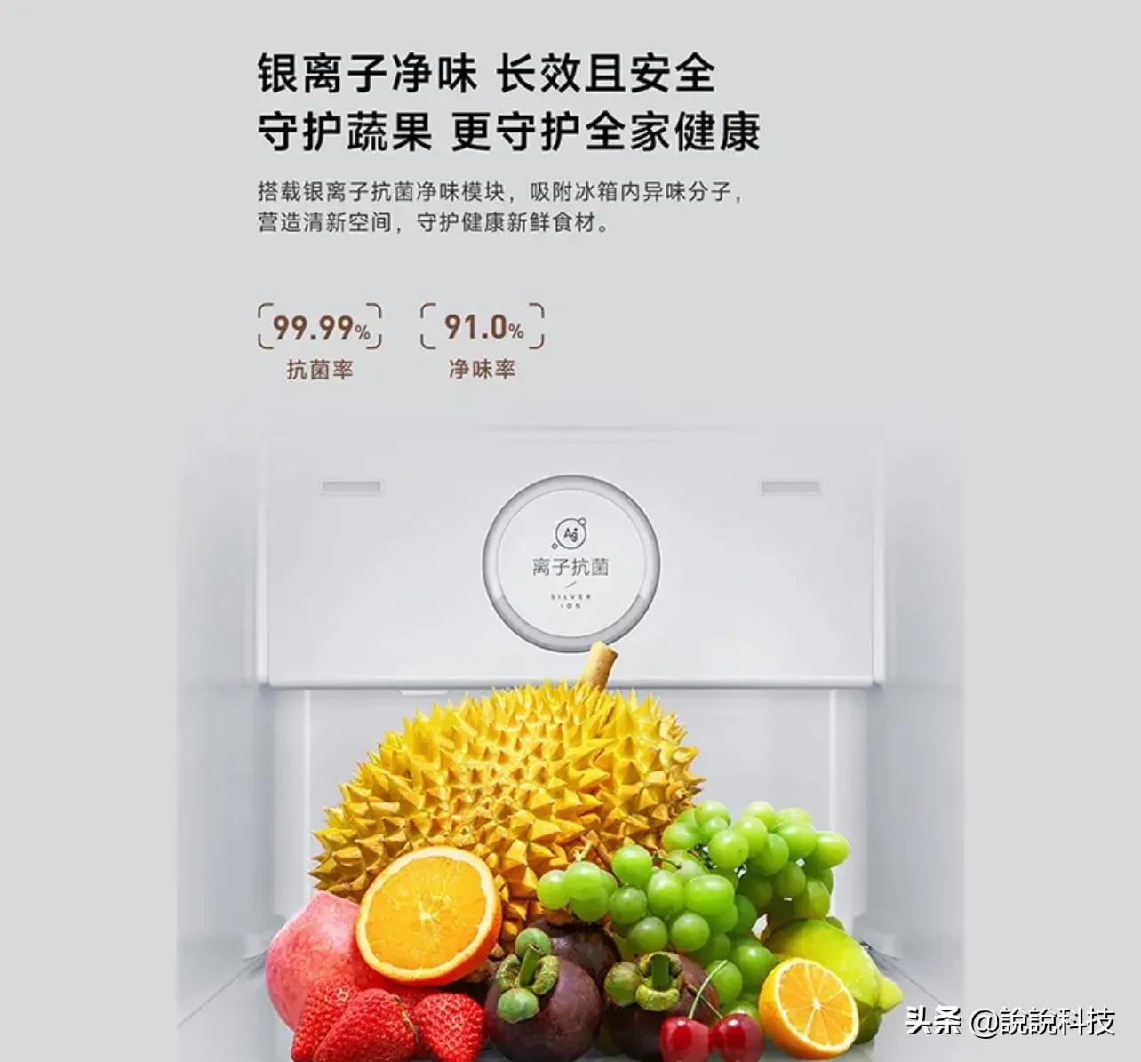小米冰箱才是黑马？610L大容量只要2000多，颜值出众功能强悍