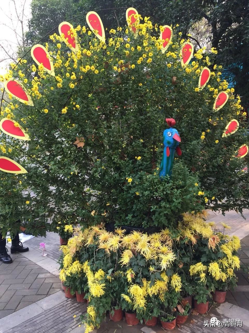 共读沈从文《边城》(纪念版)之短篇小说《黔小景》