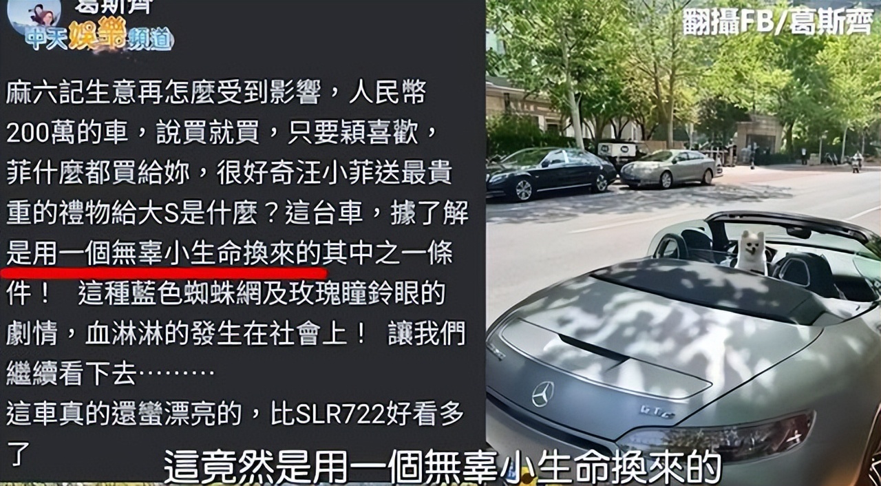 虽然不知道哪个消息是真的(网曝张颖颖学历造假，年龄造假，出生地造假，她还有啥是真的？)