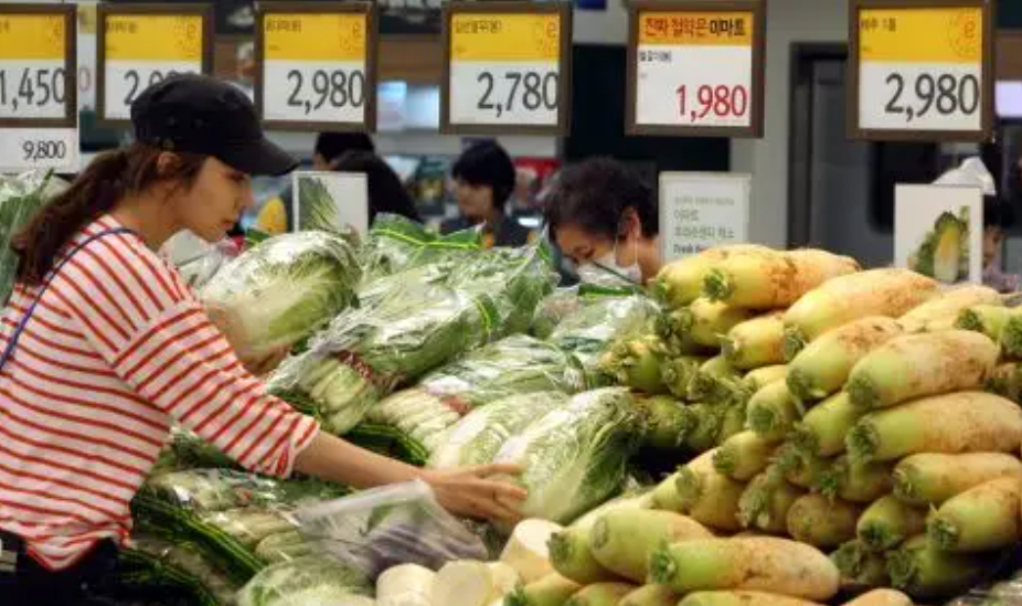 韩日世界杯为什么韩国在钱(身为发达国家，却吃不起白菜？韩国天价白菜的背后隐藏着什么？)