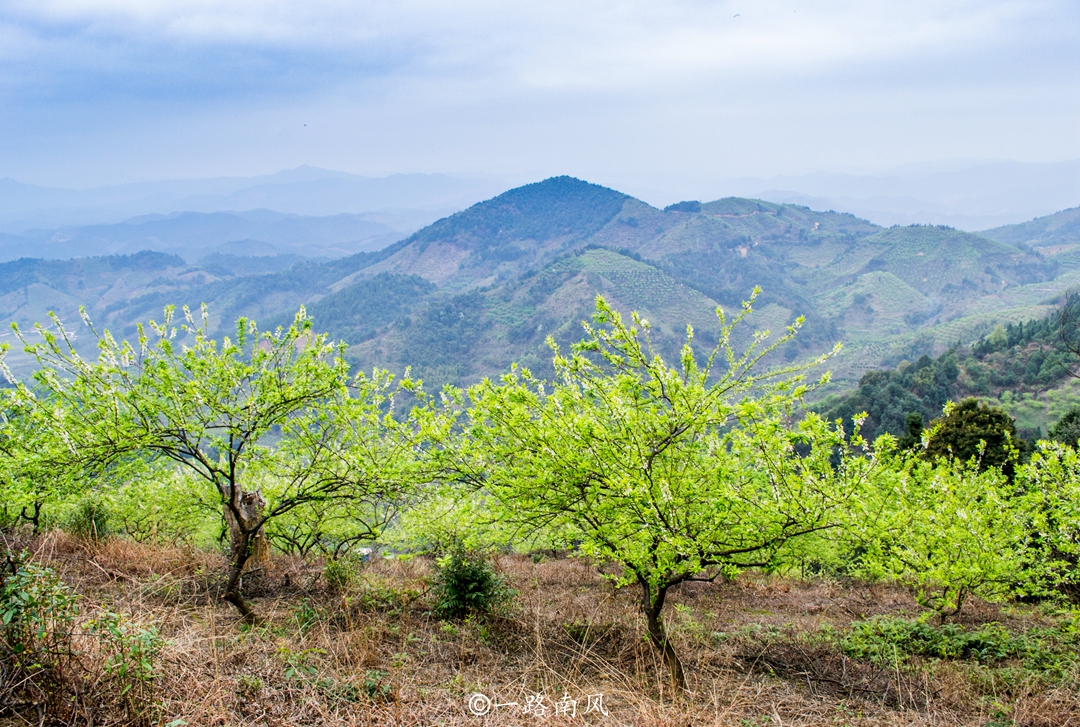 桂峰山在哪（被誉为后花园的广州郊区桂峰山）