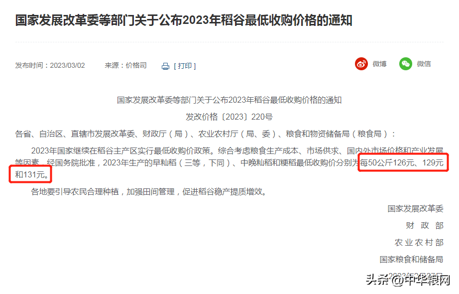 今日全国各地稻谷价格，今日全国各地疫情