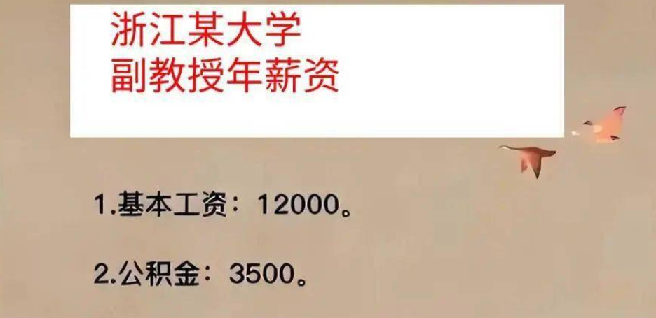 985大学副教授晒工资单，看到公积金金额，网友：比我工资都高