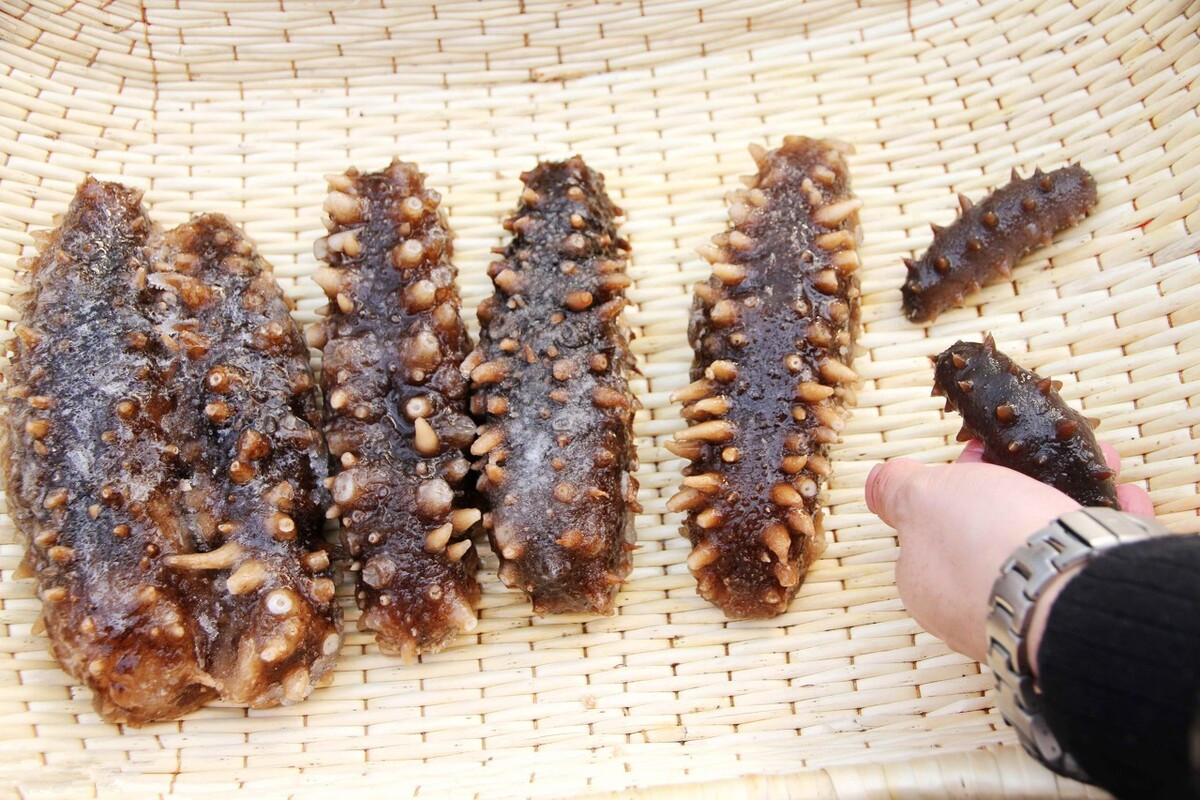 过年带回家的年货（过年带什么年货回家好）