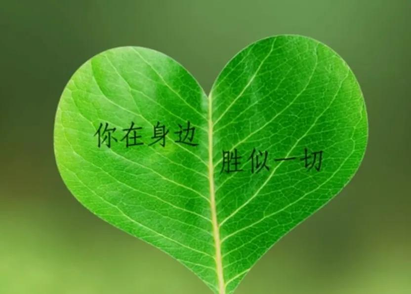 思念填满心房，眼里摇曳着泪花；想你，思念被揉碎，心儿飞向你