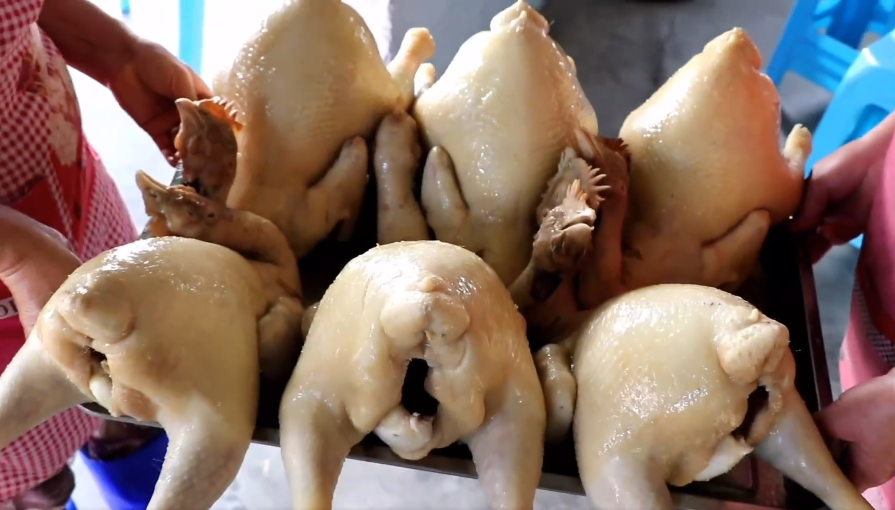 广东天价鸡肉,白水煮还卖60元一斤,味道一般,食客都为鸡饭而来