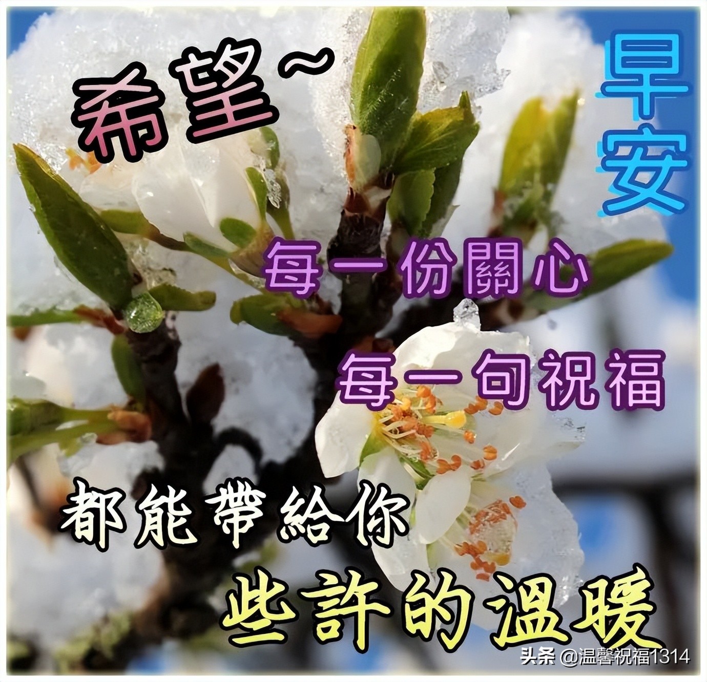 2022温馨早晨好问候语带图片，祝福一夏，送你清凉