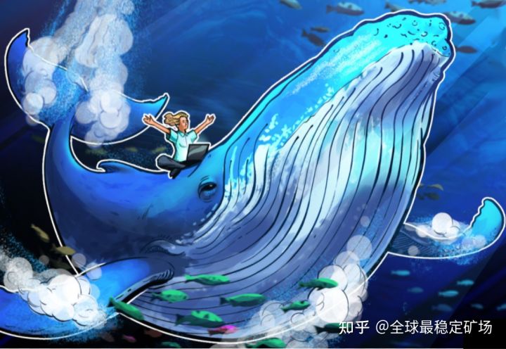 “它可以变得更容易吗？”比特币鲸鱼决定何时买卖 BTC