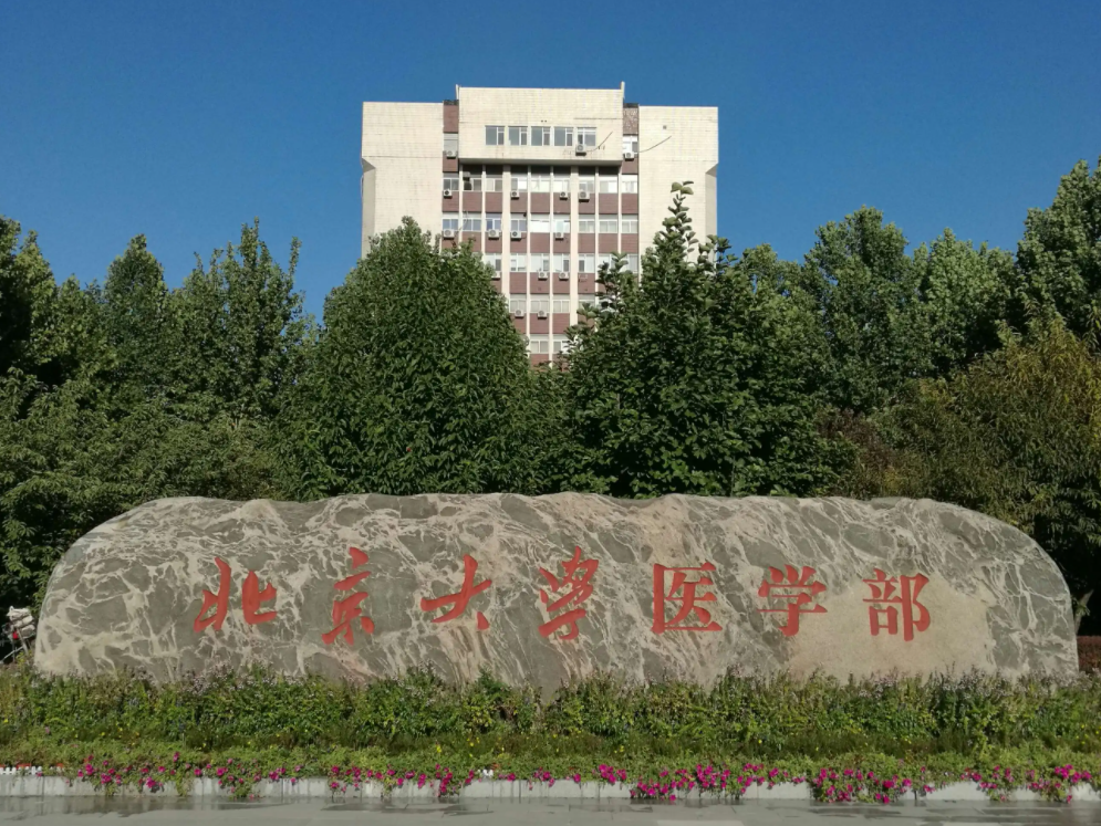 医学生晒自己大学时期，和从医十年的对比照，真的是越来越可靠了