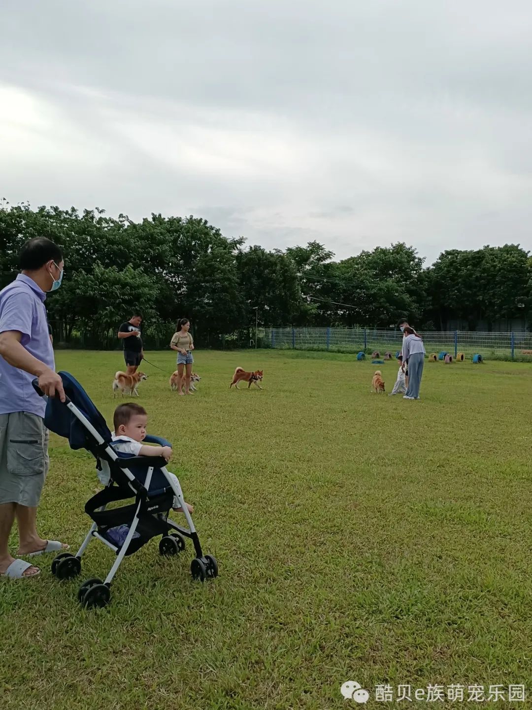 宠爱有家 夏日派对丨酷贝E族