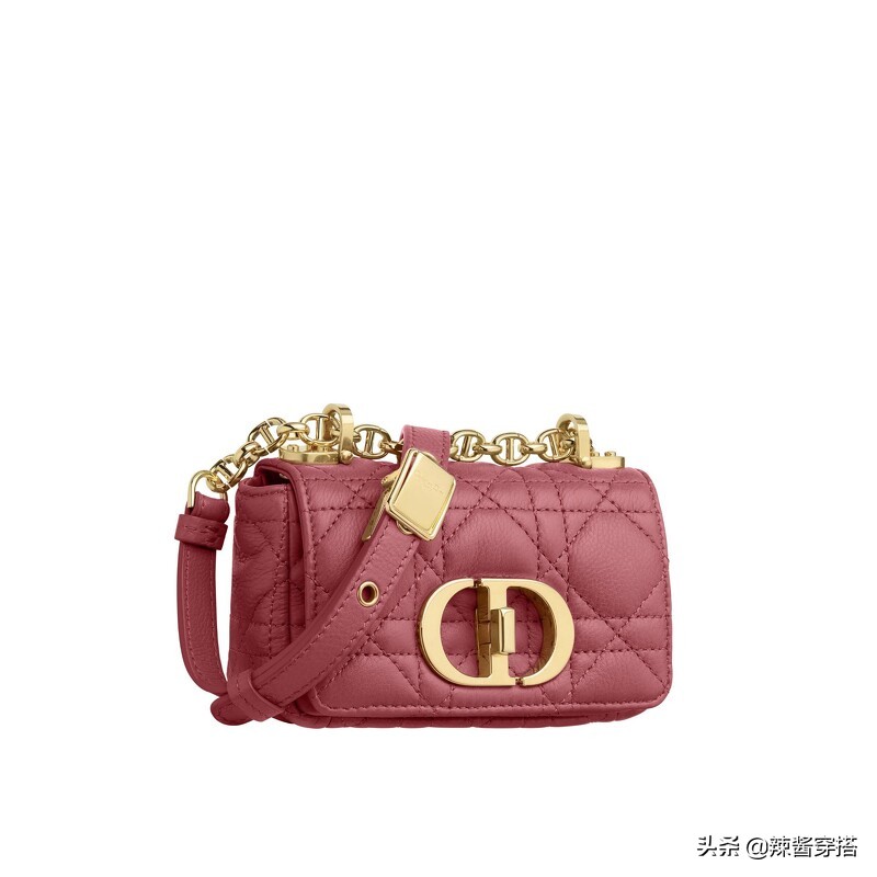 Dior Saddle、Book Tote到最新Micro Bag，一定要认识的5大经典包