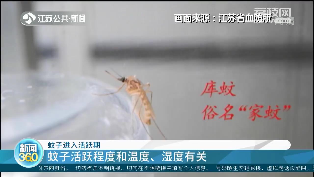 爆款防蚊T恤能防蚊嗎？專(zhuān)家：效果要打個(gè)問(wèn)號(hào)