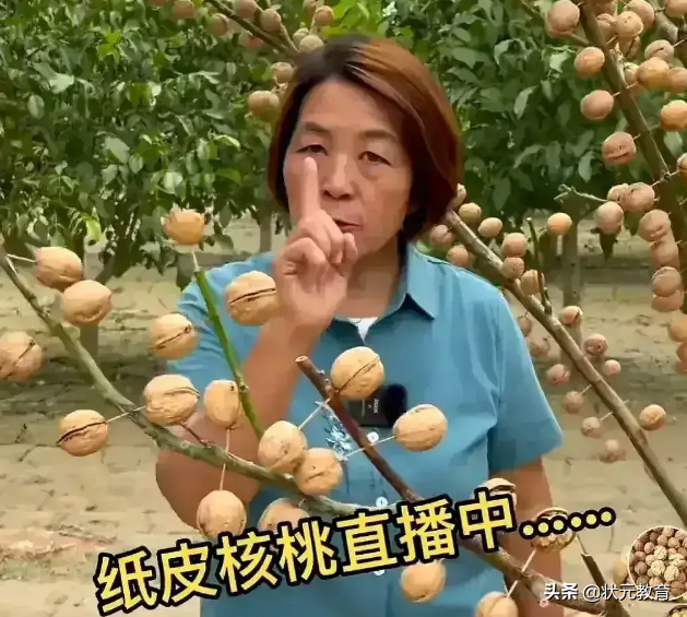 中小学开设“农耕知识+体验课”，纳入素质教育可比肩中考体育