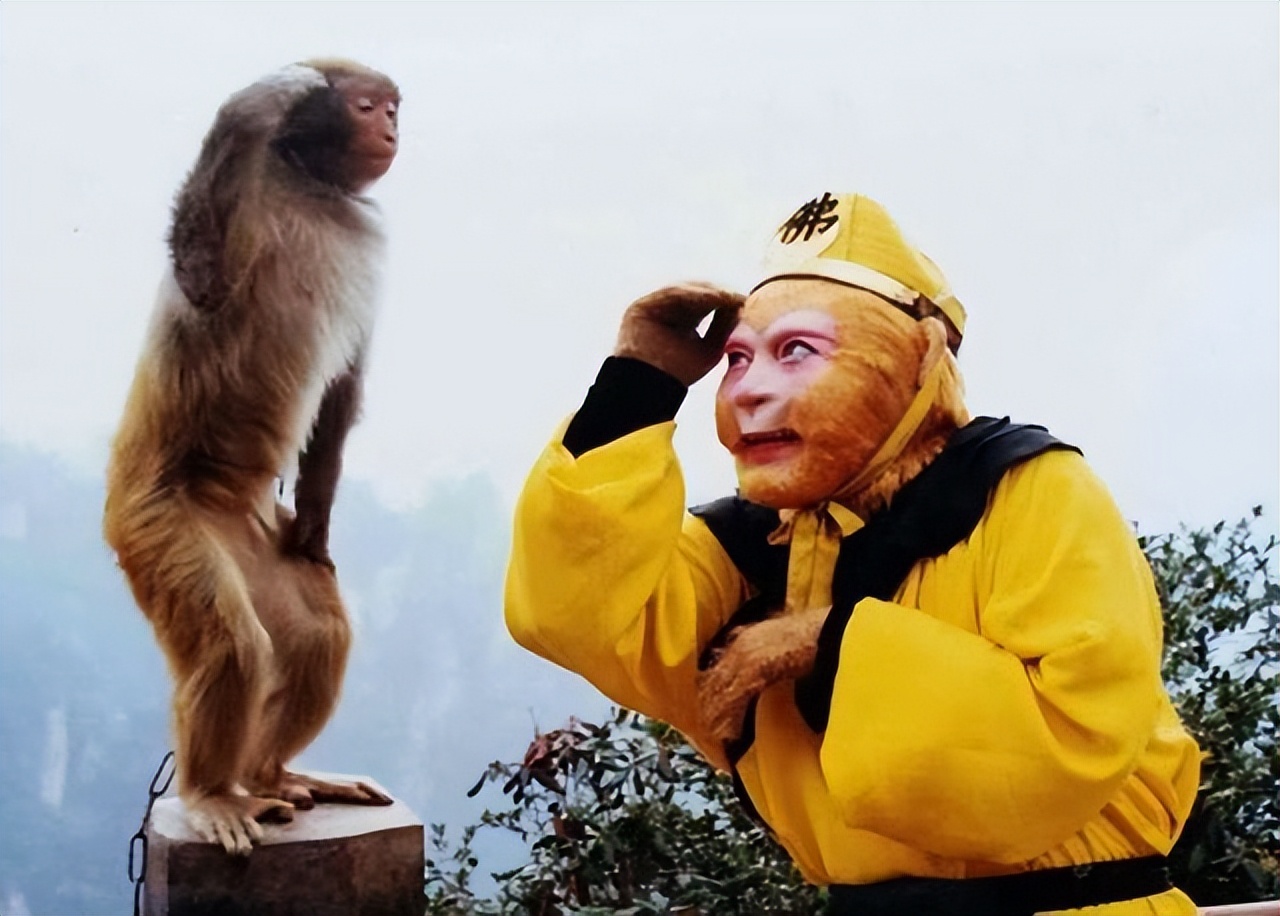 六小龄童:杨洁葬礼上卖片!建议李连杰养猴,说孙悟空专属他自己-蘑菇号