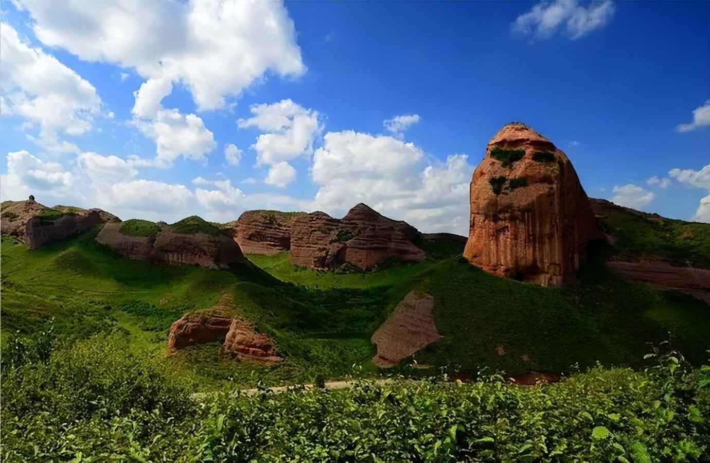 宁夏春天最美的4条自驾路线，赏花、踏青、游湖、祈福、美食