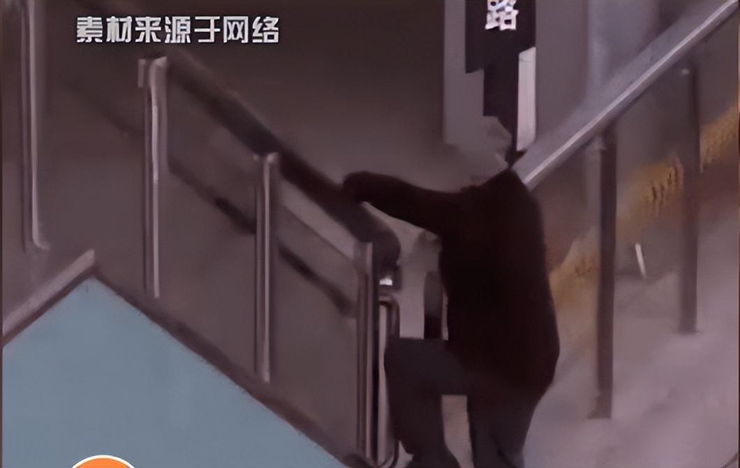 大学教授建议学生教材，删除课文《背影》，原因奇葩引网友怒怼