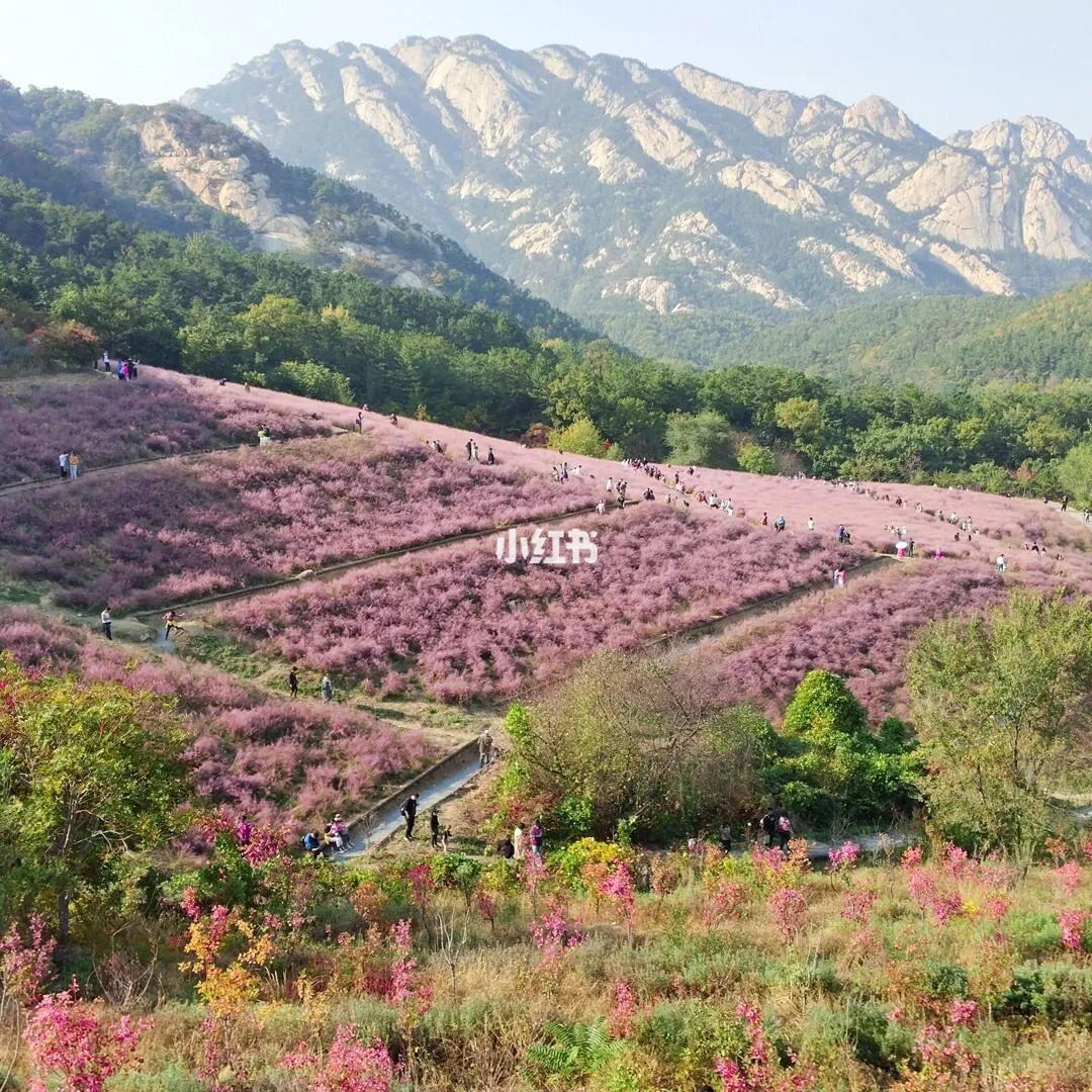 春天，去烟台蓬莱阁等十一大旅游景点会让你留恋往返，目不暇接