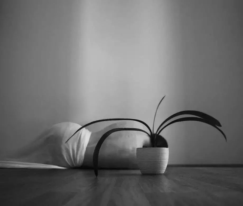 超艺术的女性人体摄影