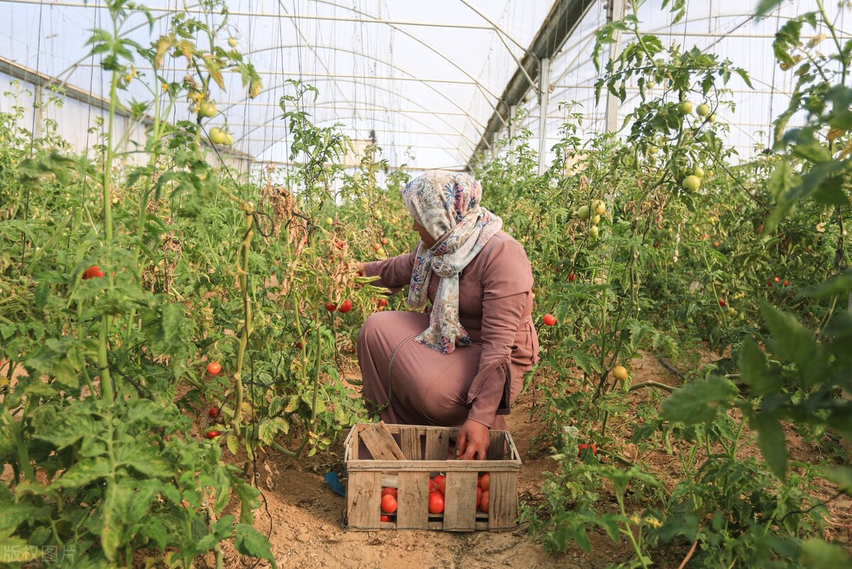 财务会计的特征（这女孩格局大了）