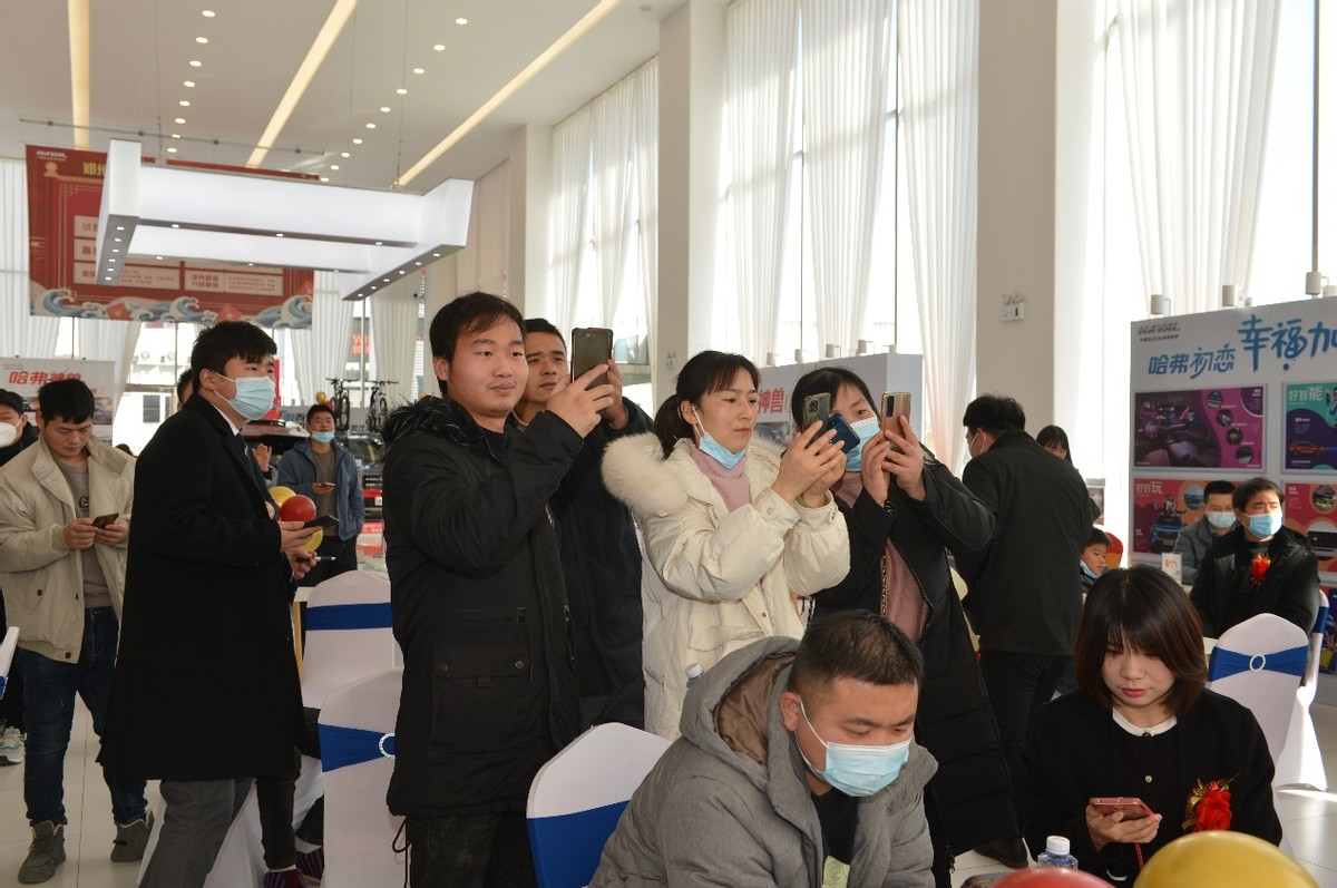 大河报汽车网
