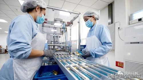 艾多美得皓齿项目建设施工步入“快车道”