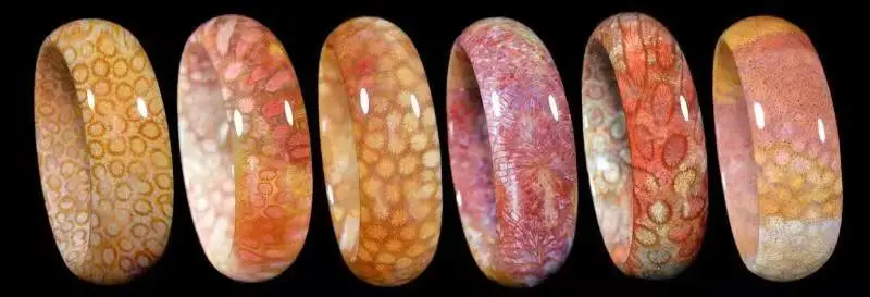 天然珊瑚图片及价格表珊瑚玉