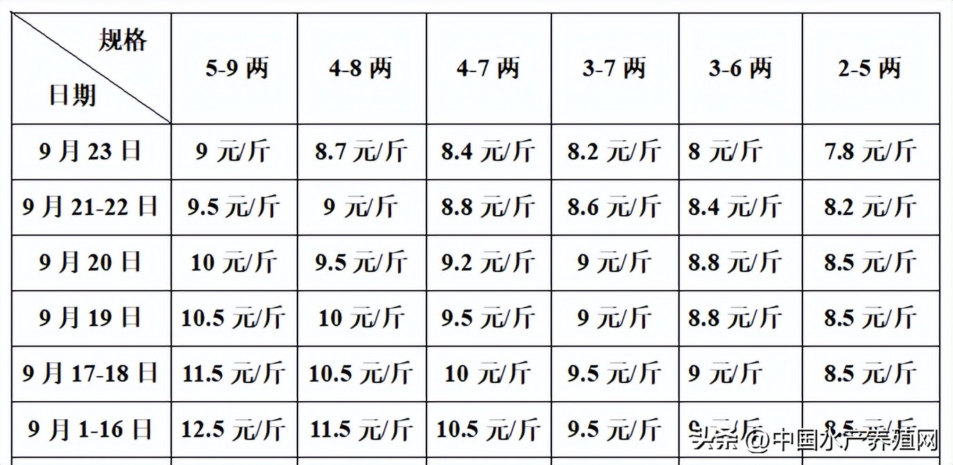 牛蛙养殖一亩多少成本（牛蛙养殖一亩多少成本呢）