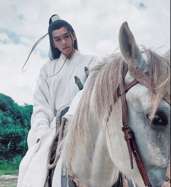 陈坤演的徐凤年是哪部剧陈坤来演会不会更好张若昀演的徐凤年你能打几