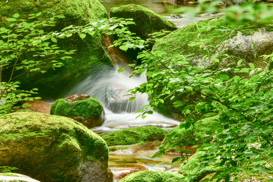 天水桃花沟里水潺潺