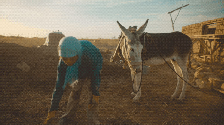 女演员扎堆演“村妇”，是救命稻草，还是新流量密码？