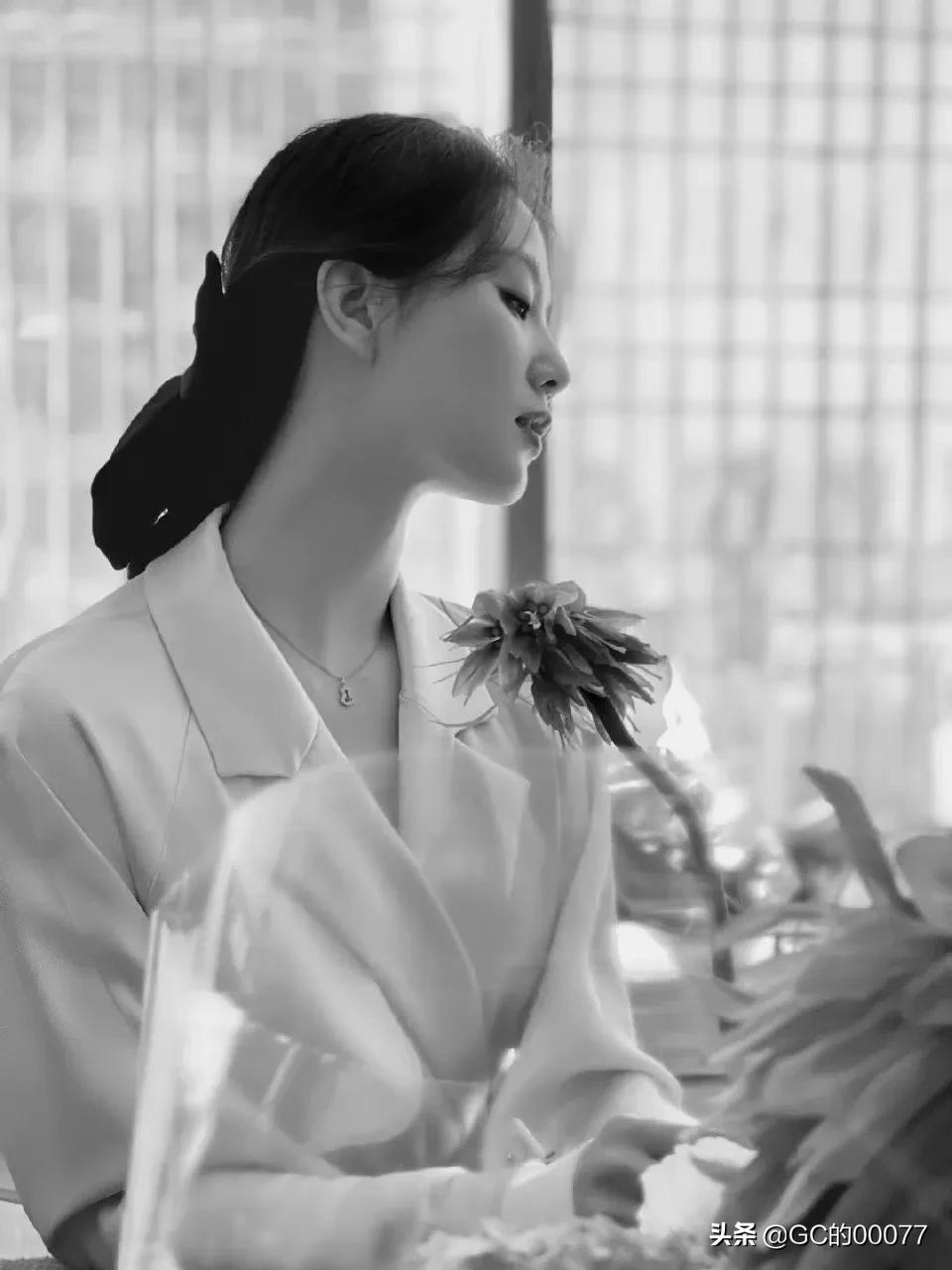 明星图片刘诗诗