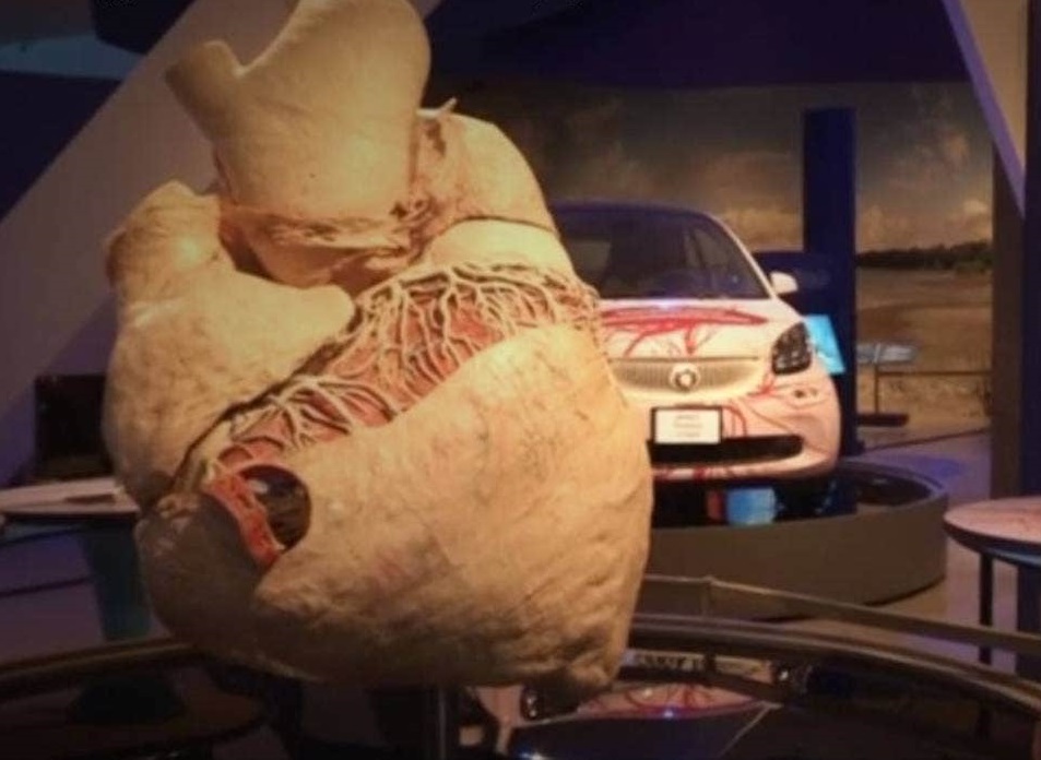 30张图看世界：越南女兵宿舍内叠被子，朝鲜阅兵的女兵方阵