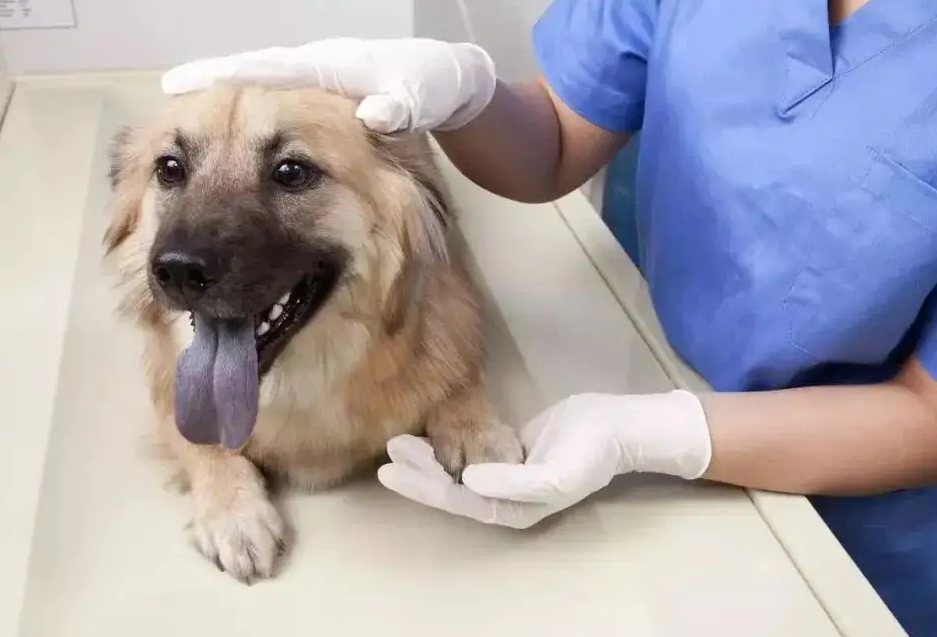 适合专科学生学习的十大专业，男女均可报考，就业率高于本科生