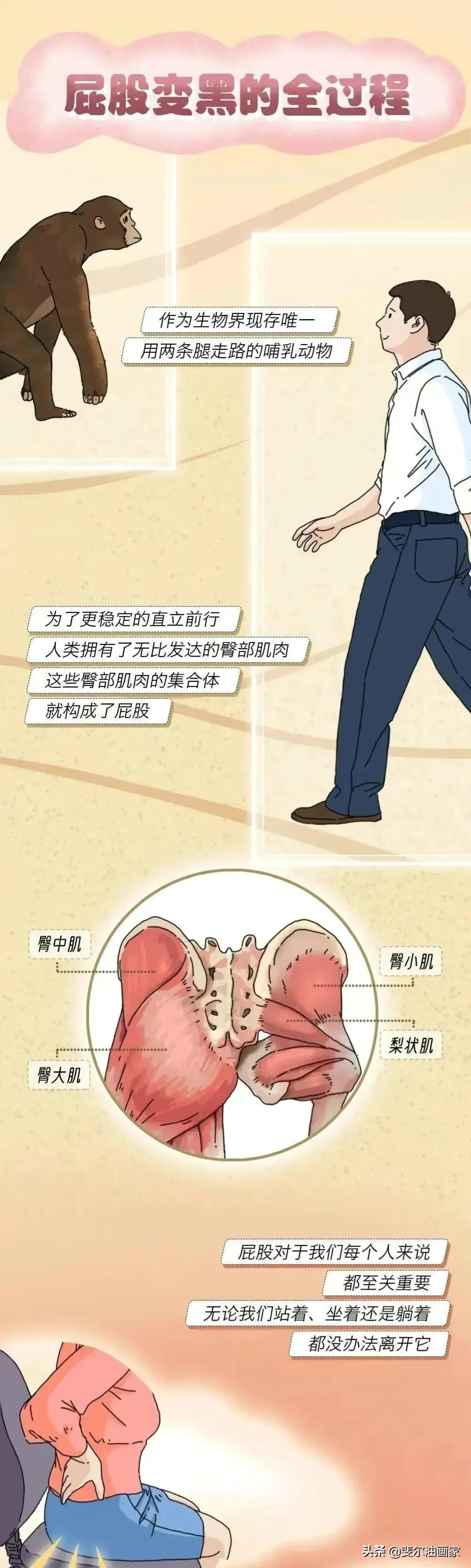 女生需要注意了，屁股变黑和变大是有原因的，漫画告诉你答案