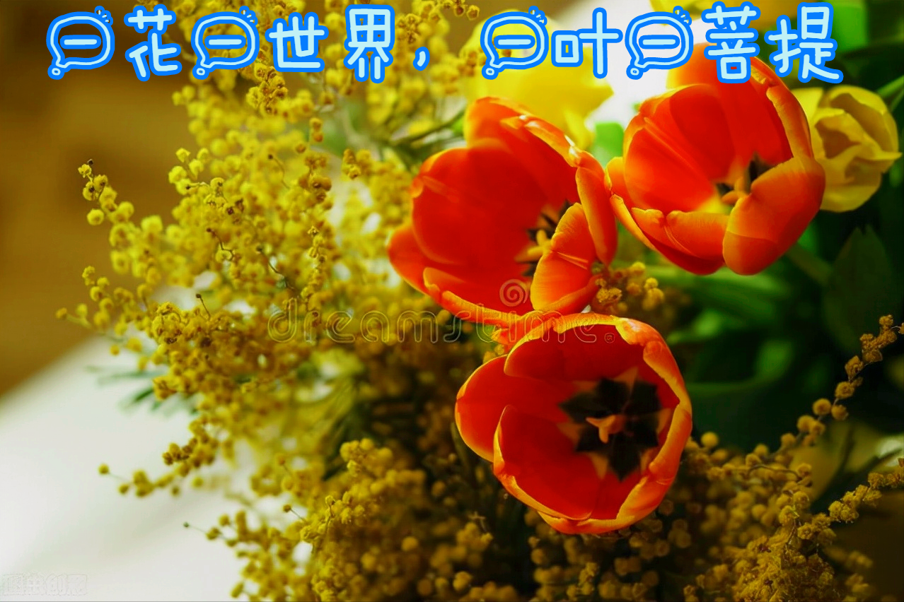一花一深爱，十里春风花盛开，时光岁月最深情，素心从容笑如花
